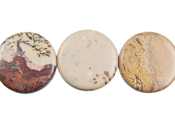 Leopard Skin Jasper Beads - Coin - 20x20mm - 16-inch - unbranded beads for jewelry making