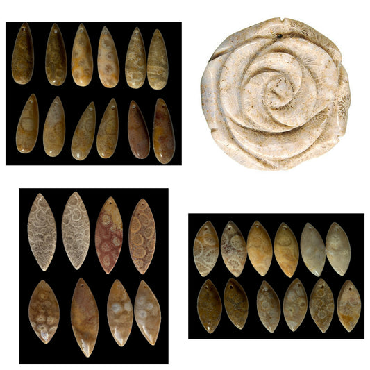 pendant-fossil-coral-pendants - enlarged variation overview